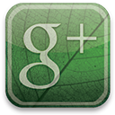 Google+